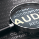 What Is Auditing